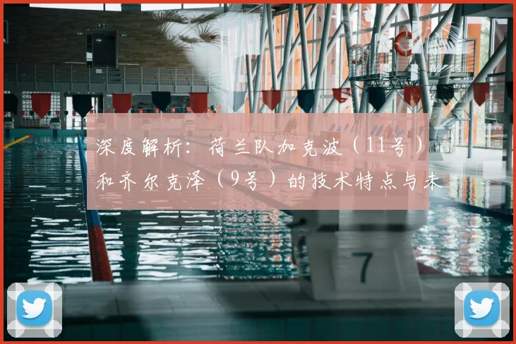 深度解析:荷兰队加克波(11号)和齐尔克泽(9号)的技术特点与未来前景